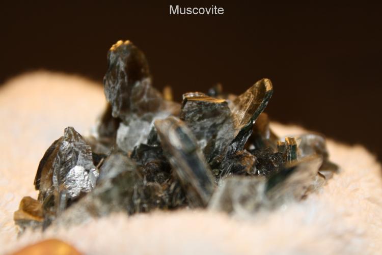 Muscovite #1G.jpg