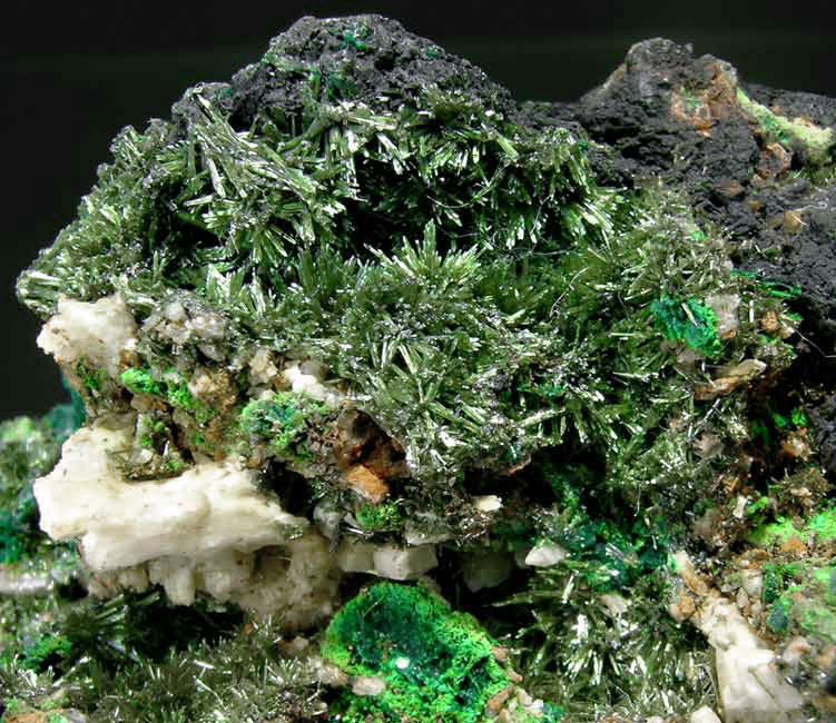 Olivenite with Malachite - Wheal Gorland, Gwennap, Saint Day, Redruth, Cornwall  England, United Kingdom.jpg