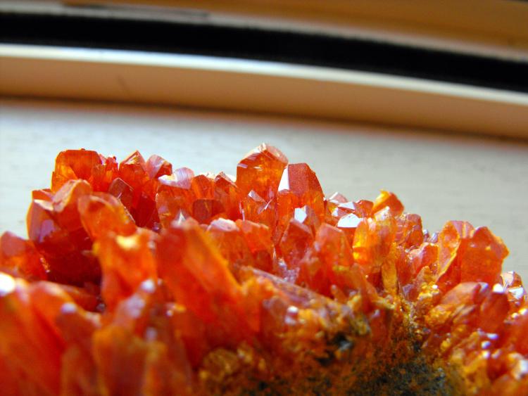 ORPIMENT 6.jpg