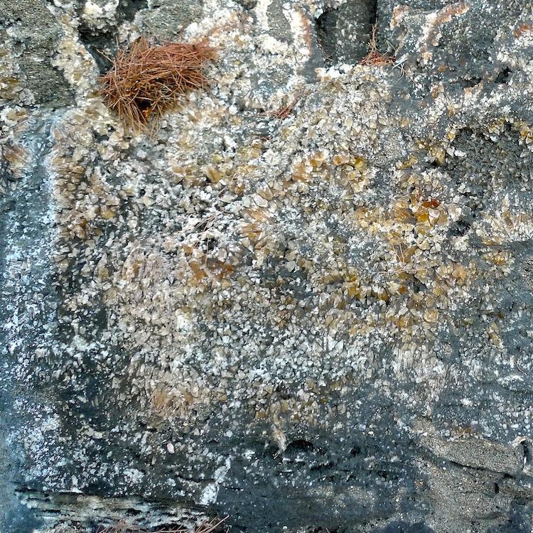 P1090966_2.JPG