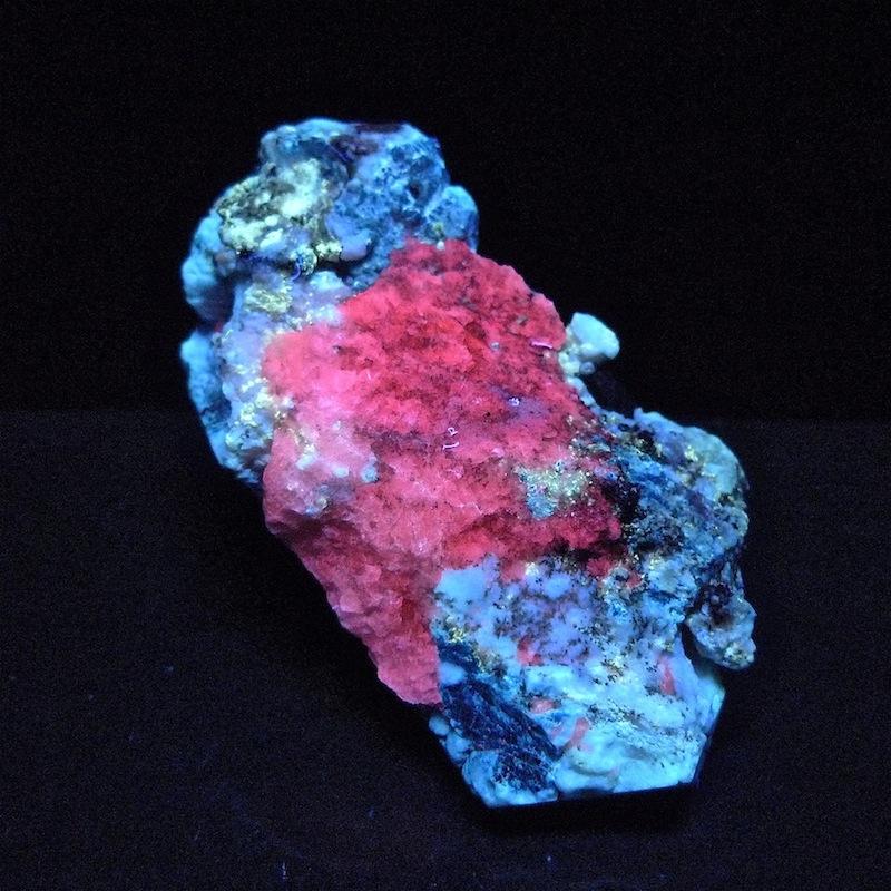P1120474.JPG