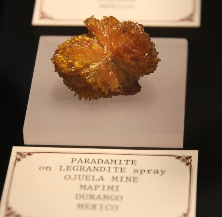 Paradamite - Mapimi.JPG