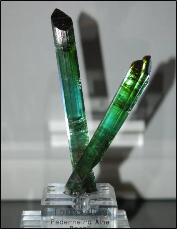 Ped Twin Tourmalines.jpg