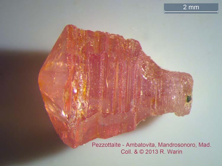 Pezzo-monoxl#3_R.jpg