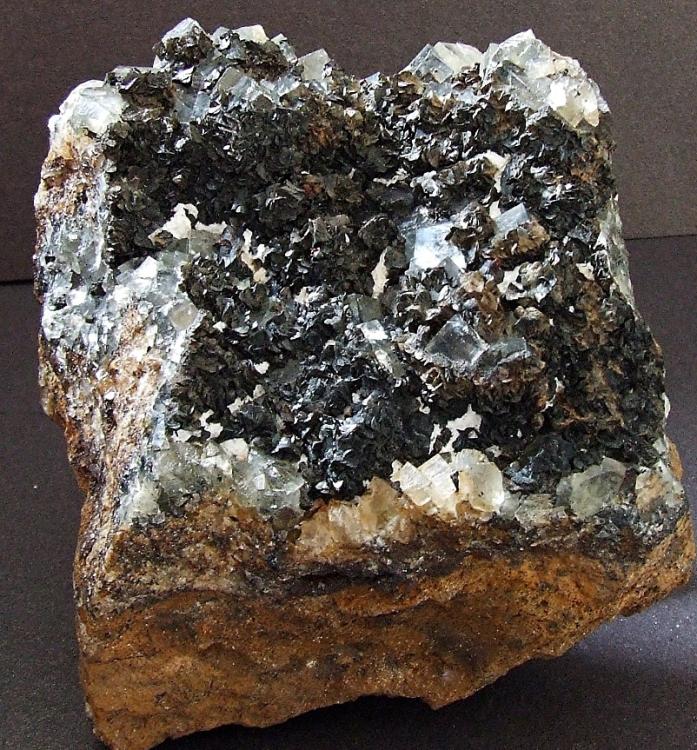 Pike Law Oxidized (1).jpg