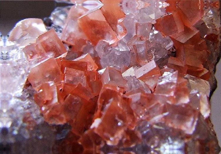 pink fluorite close up.JPG