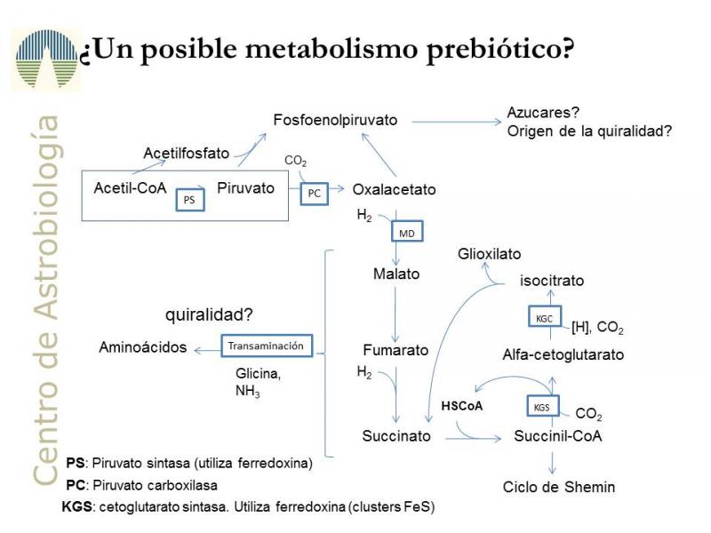 protometabolism.jpg