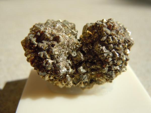 Pyrite - Selma Chalk Formation Starkville Mississippi.jpg