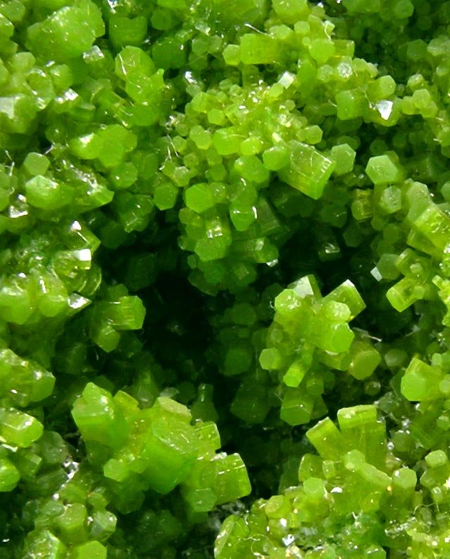 Pyromorphite - Münstertal_Black Forest_Baden-Württemberg_Germany_d.jpg