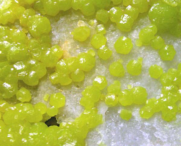 Pyromorphite La Vidale detail.jpg