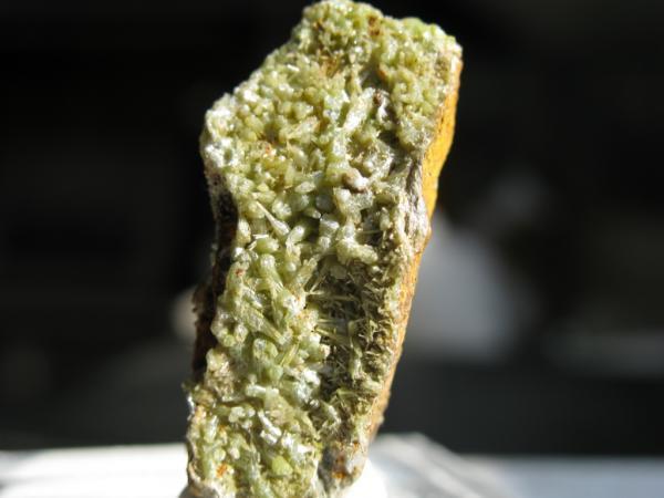 Pyromorphite Vegadeo before sun light.jpg