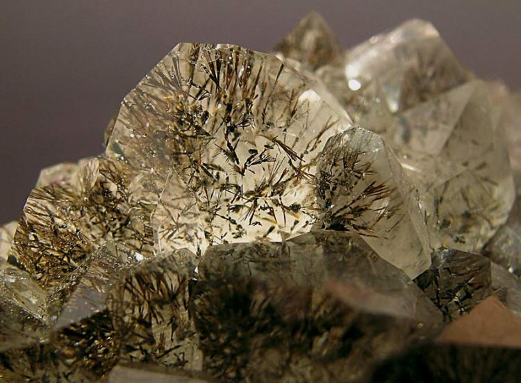 Quartz with Goethite inclusions detail - Sidi Rahal_Morocco.jpg