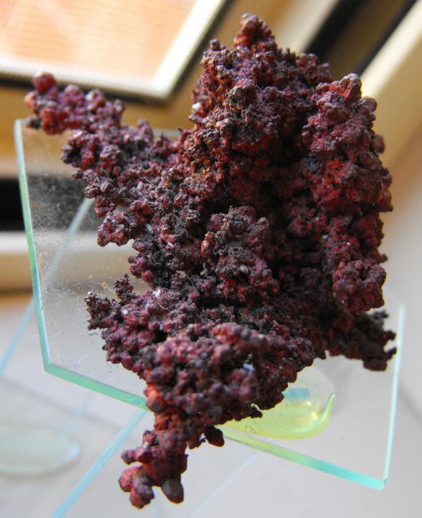 RED DOME COPPER.jpg