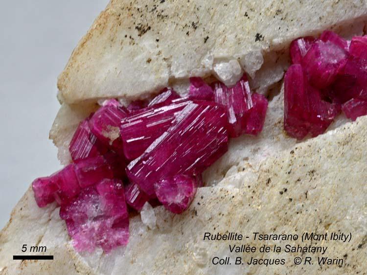 Rubellite-2_R.jpg