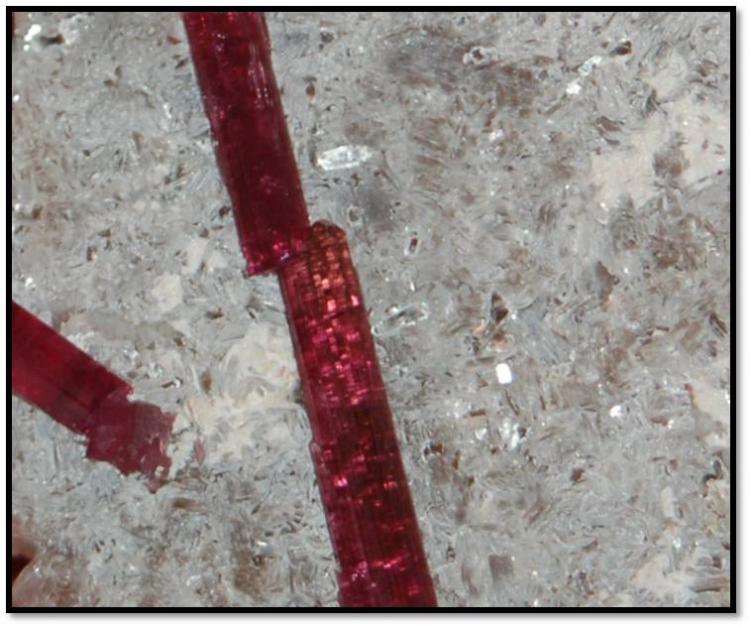 Rubellite with Lepidolite zoom.jpg