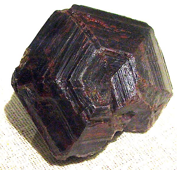 Rutile sixling (Harvard-110229).jpg