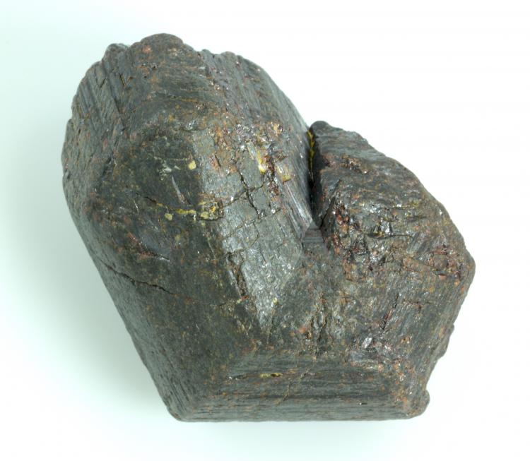 Rutile-Ubangi(PF-2011).jpg