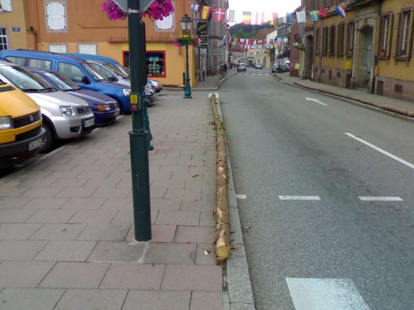 Sainte-Marie-aux-Mines 2009 anti-parking.jpg