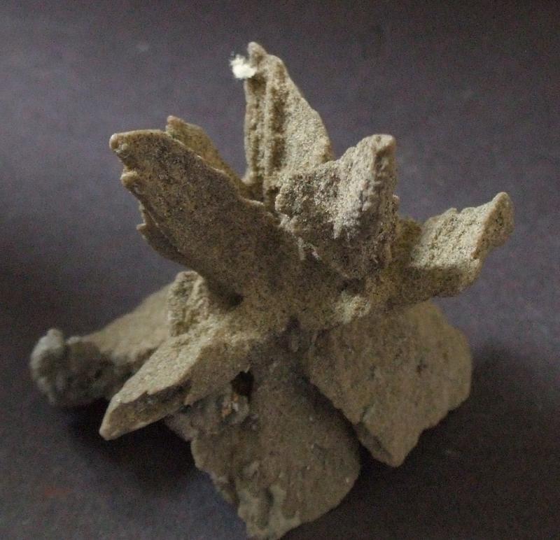 sand rose (3).JPG