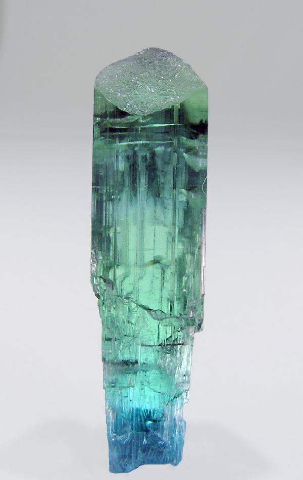 Sceptered Paraiba Elbaite.jpg