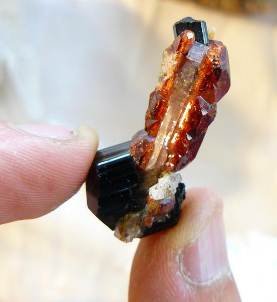 SCHORL & GARNET & AQUAMARINA - Pakistan - Mineralparagon SMAM09.jpg