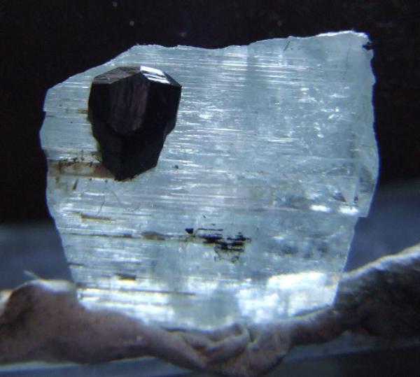 schorl on aquamarine.JPG