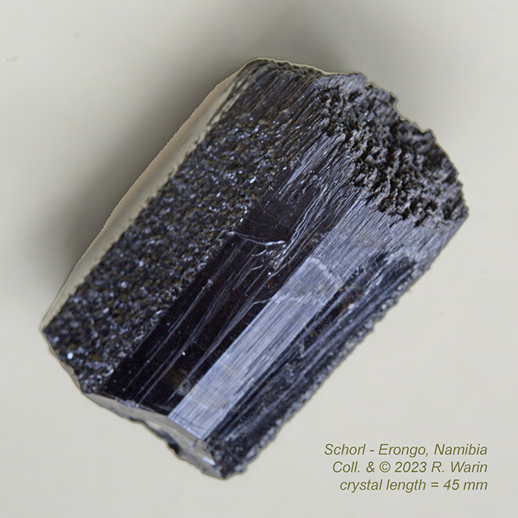 Schorl_squel#3A-3_R.jpg