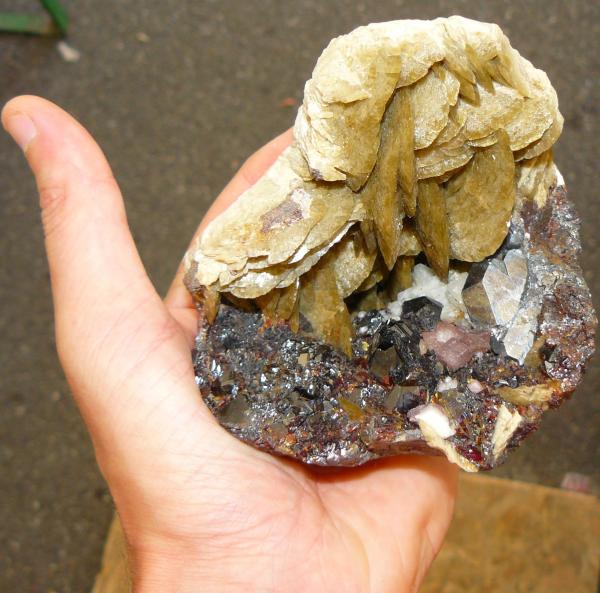 Siderite & Sphalerite & Bournonite - La Mure - Mineralparagon SMAM09.jpg