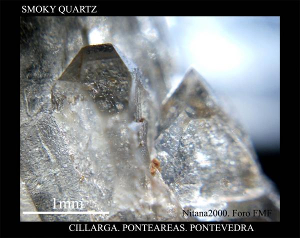 Smoky Quartz.jpg