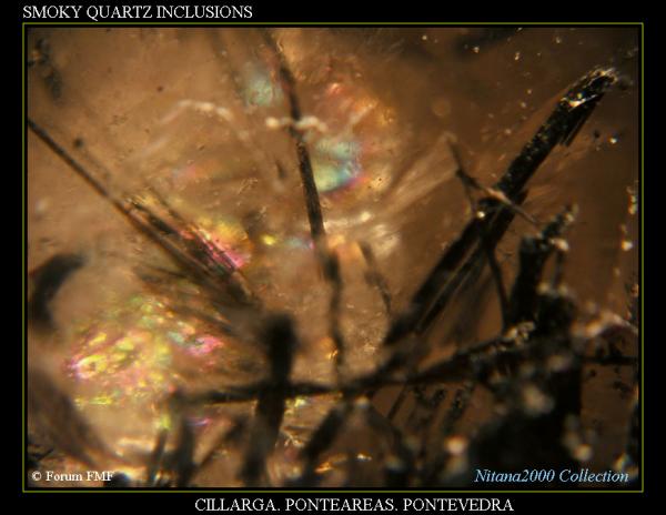 Smoky quartz l.jpg