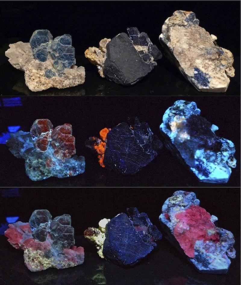 sodalgroup3.jpg