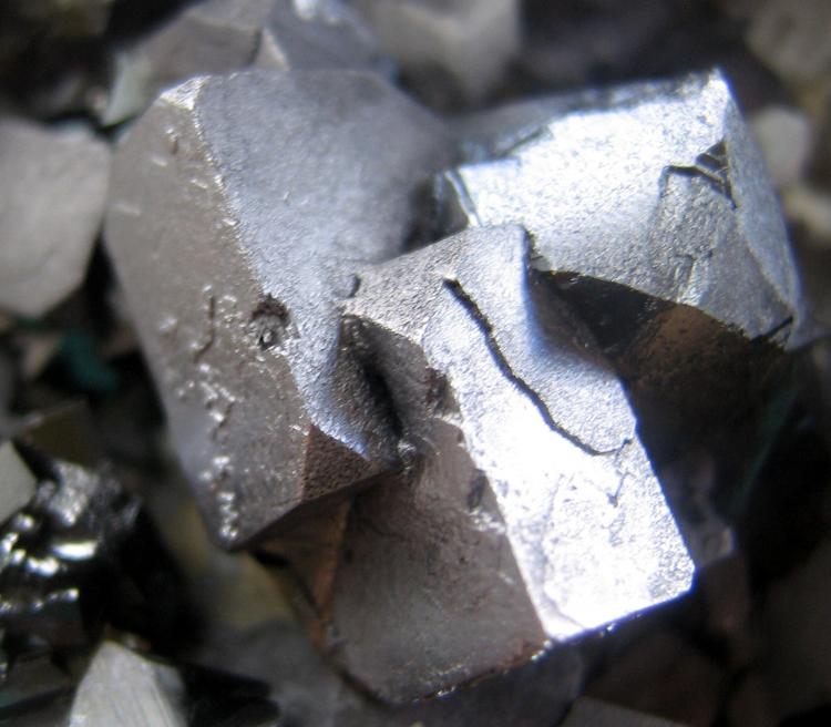 SPHAL CLOSEUP 1.JPG