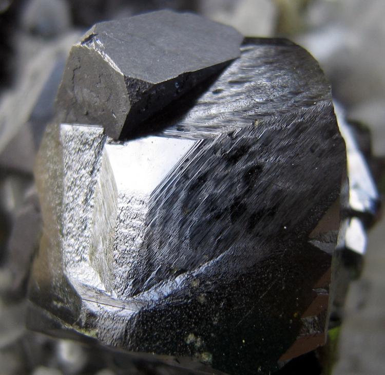 SPHAL CLOSEUP 3.JPG