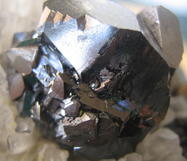 SPHAL CLOSEUP 6.JPG