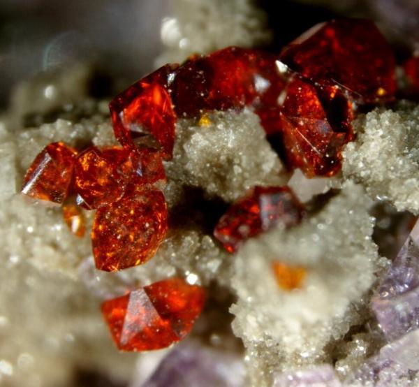 Sphalerite on Fluorite - Bluffton Stone County Quarry_Bluffton_Richland Township_Allen County_Ohio_USA.jpg