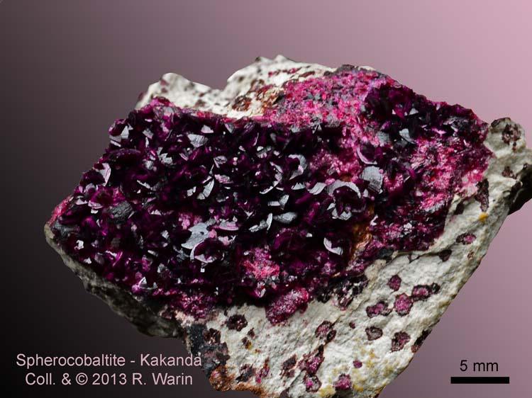 Spherocobaltite#6_9448_R.jpg