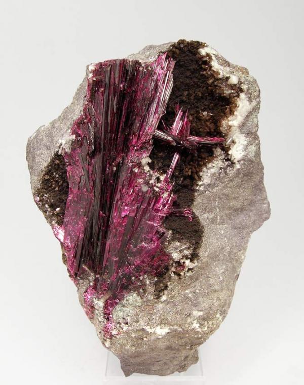 Ste. Marie 2010 - Erythrite - Agoudal Bou Azzer Marruecos.jpg