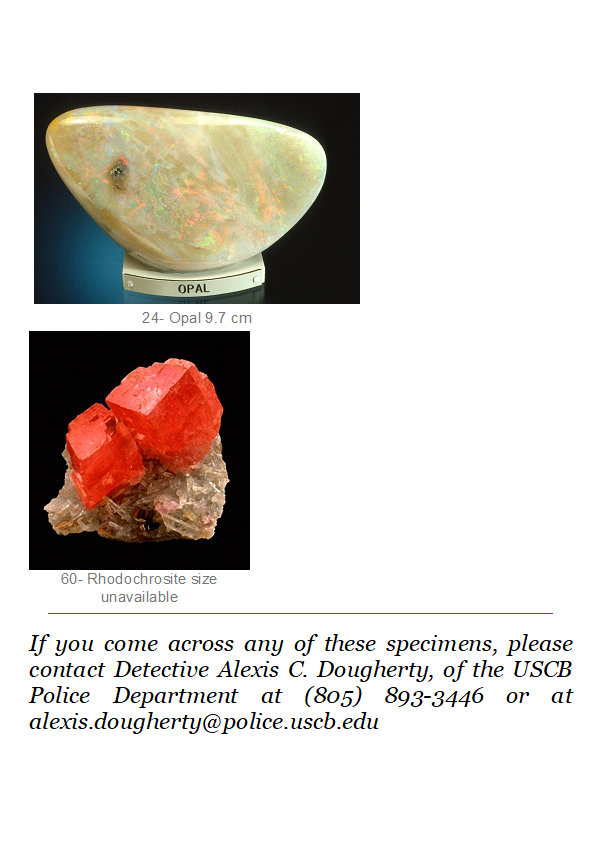 Stolen specimens from the University of California - Santa Barbara (8).jpg