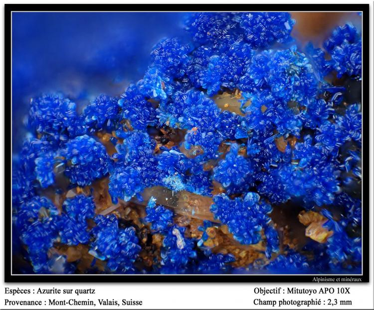 supermacro504.jpg