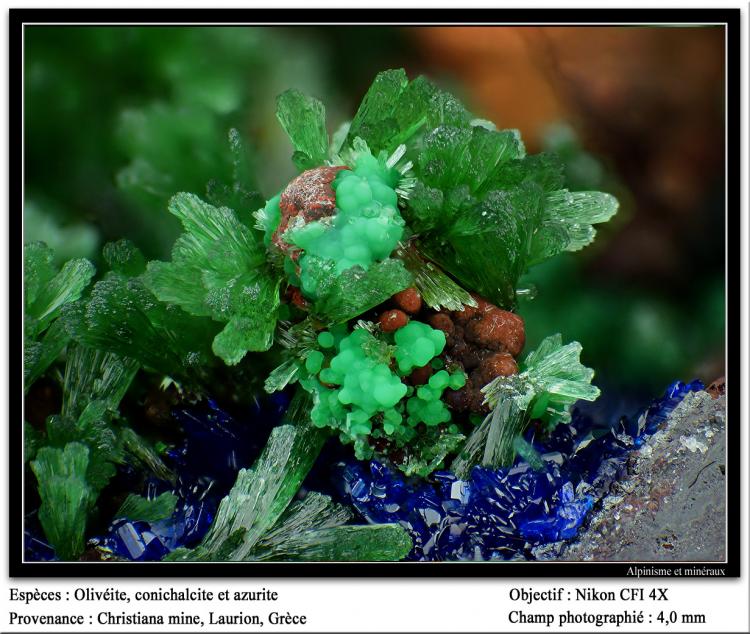 supermacro540.jpg