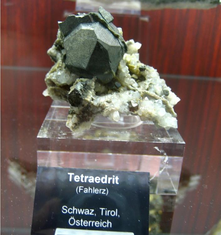 tetra.JPG