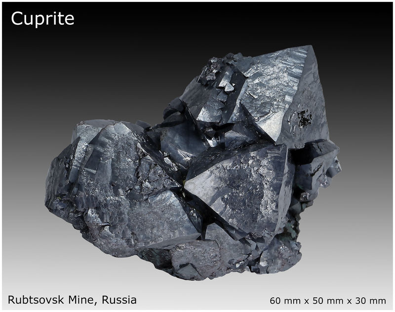 00 - CUPRITE - DISPLAY VIEW 1A.jpg