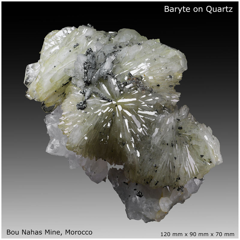 01 - BARITE ON QUARTZ - BOU NHASS - MOROCCO - DISPLAY VIEW 1.jpg