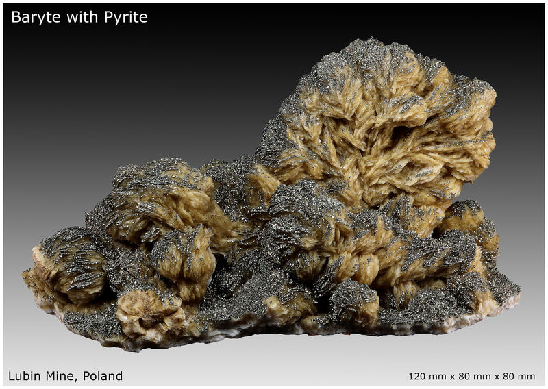 01 - BARITE WITH PYRITE - LUBIN MINE - POLAND - VIEW 1.jpg