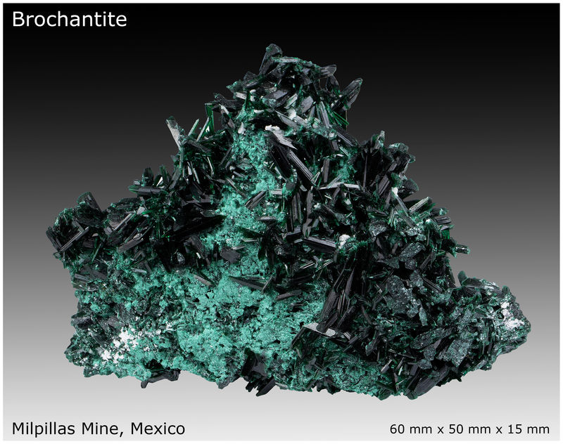 01 - BROCHANTITE - DISPLAY VIEW 1.jpg