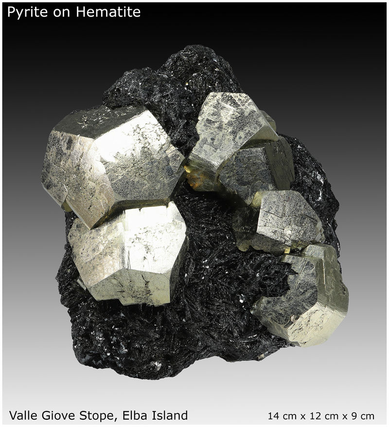 01 - PYRITE ON HEMATITE - ELBA - DISPLAY VIEW 1.jpg