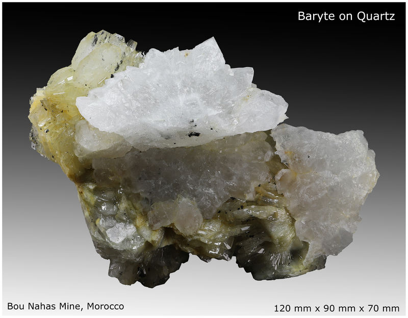 02 - BARITE ON QUARTZ - BOU NHASS - MOROCCO - MATRIX VIEW 1.jpg