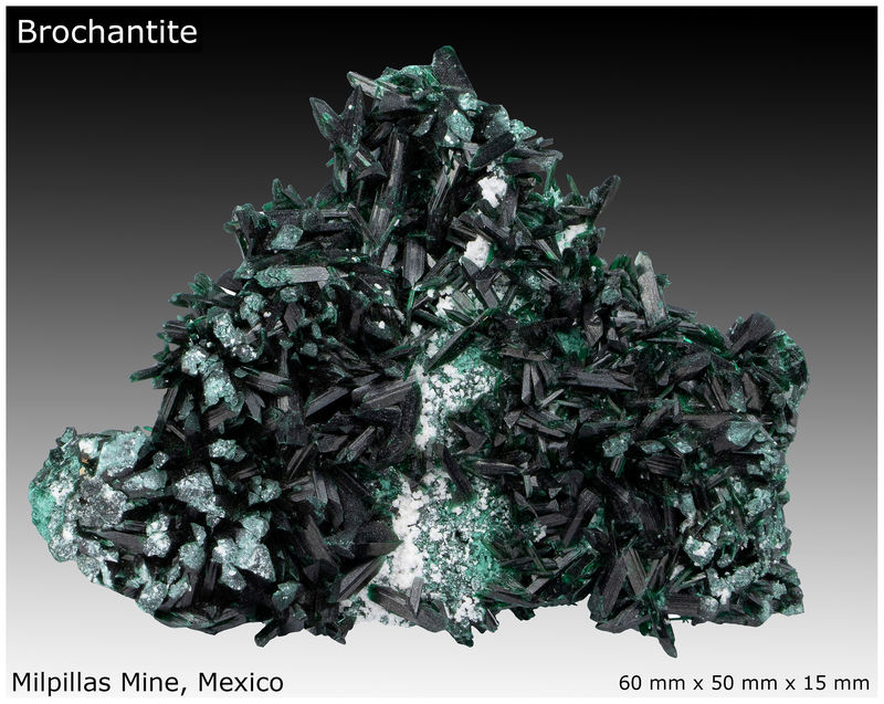 02 - BROCHANTITE - DISPLAY VIEW 2.jpg
