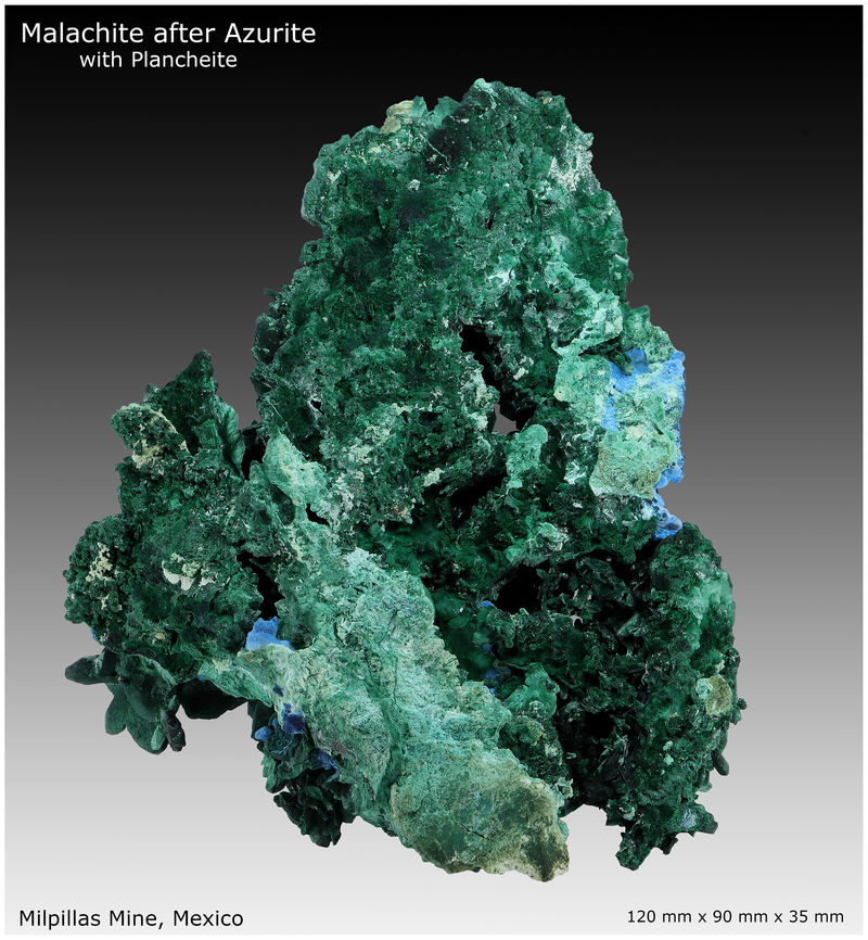 02 - MALACHITE - REAR VIEW 2.jpg