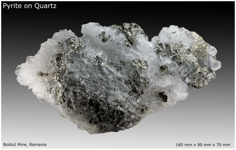 02 - PYRITE ON QUARTZ - BOLDUT - MATRIX VIEW.jpg